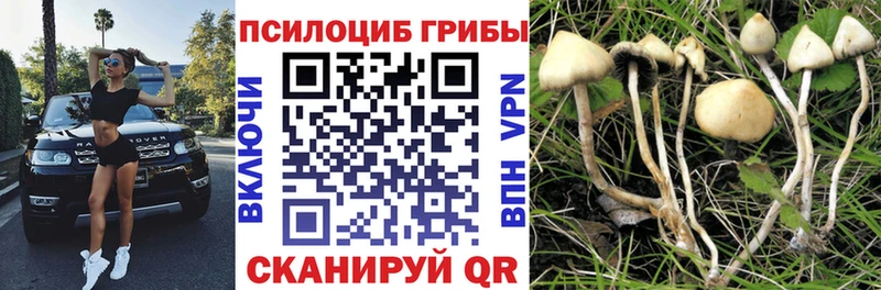Псилоцибиновые грибы мицелий  mega ТОР  Сельцо 
